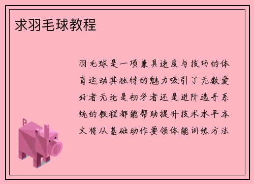 求羽毛球教程